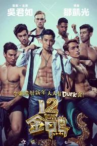 Movie poster of 12 Golden Ducks