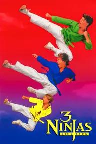 Movie poster of 3 Ninjas Kick Back