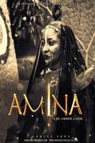 Movie poster of Amina