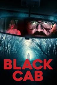 Movie poster of Black Cab