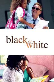 Movie poster of Black or White