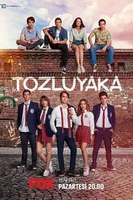 Movie poster of Tozluyaka