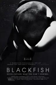 Movie poster of Blackfish