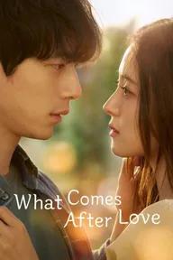 Movie poster of What Comes After Love