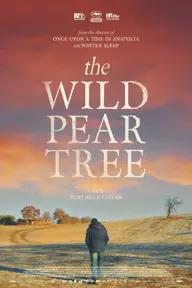 Movie poster of The Wild Pear Tree