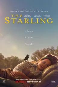 Movie poster of The Starling