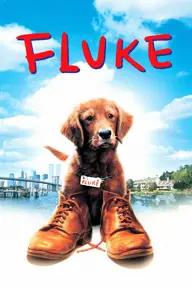 Movie poster of Fluke