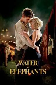 Movie poster of Water for Elephants