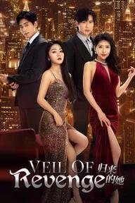 Movie poster of Veil of Revenge