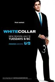 Movie poster of White Collar (Season 1)