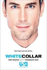 Movie poster of White Collar (Season 5)