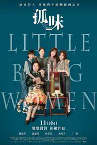 Movie poster of Little Big Women