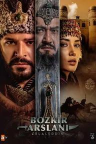 Movie poster of Fetih 1453