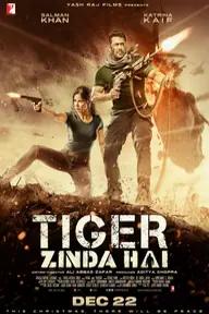 Movie poster of Tiger Zinda Hai