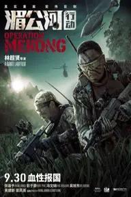 Movie poster of Operation Mekong