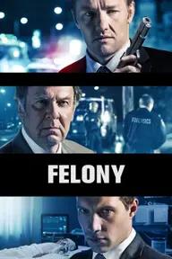 Movie poster of Felony