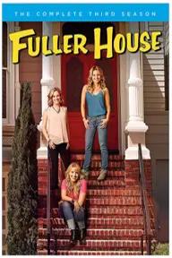 Movie poster of Fuller House (Season 3)