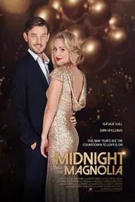 Movie poster of Midnight at the Magnolia