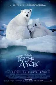 Movie poster of To the Arctic