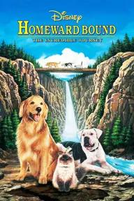 Movie poster of Boonie Bears: Homeward Journey