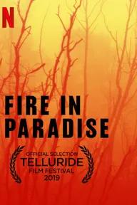 Movie poster of Fire in Paradise