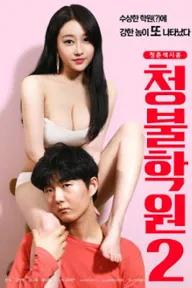 Movie poster of Adult Only Institute 2