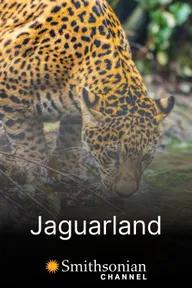 Movie poster of Jaguarland