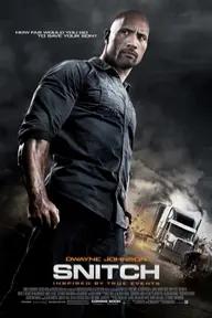 Movie poster of Snitch