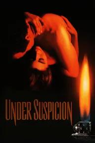 Movie poster of Under Suspicion