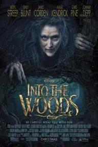 Movie poster of Into The Woods