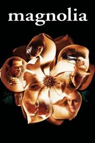 Movie poster of Magnolia