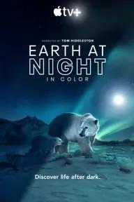 Movie poster of Night on Earth