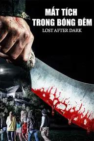 Movie poster of Lost After Dark