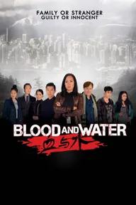 Movie poster of Blood and Water Season 4