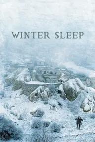 Movie poster of Winter Sleep