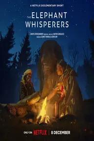 Movie poster of The Elephant Whisperers