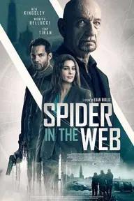 Movie poster of Spider in the Web