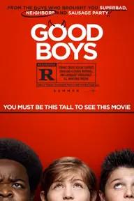 Movie poster of Good Boys