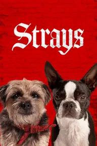 Movie poster of Strays