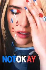 Movie poster of Not Okay