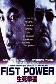 Movie poster of Fist Power