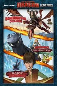 Movie poster of Book of Dragons