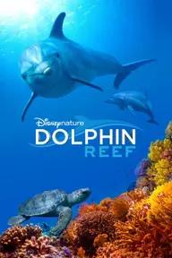 Movie poster of Dolphin Reef