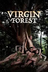 Movie poster of Virgin Forest