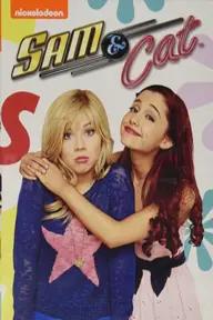 Movie poster of Sam & Cat (Season 1B)