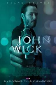 Movie poster of John Wick