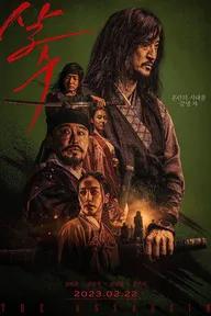 Movie poster of The Assassin