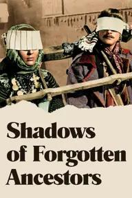 Movie poster of Shadows of Forgotten Ancestors