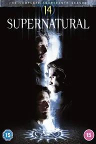 Movie poster of Supernatural (Season 14)