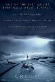 Movie poster of Arctic